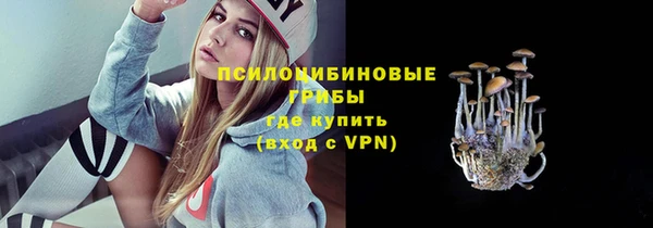 марки lsd Карпинск