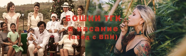 соль ск Болотное