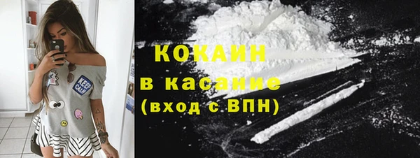ALPHA PVP Каменка