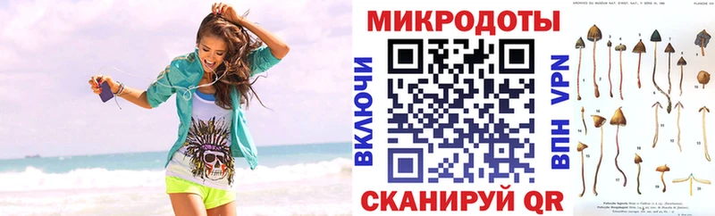 цены   Кола  Псилоцибиновые грибы Psilocybe 